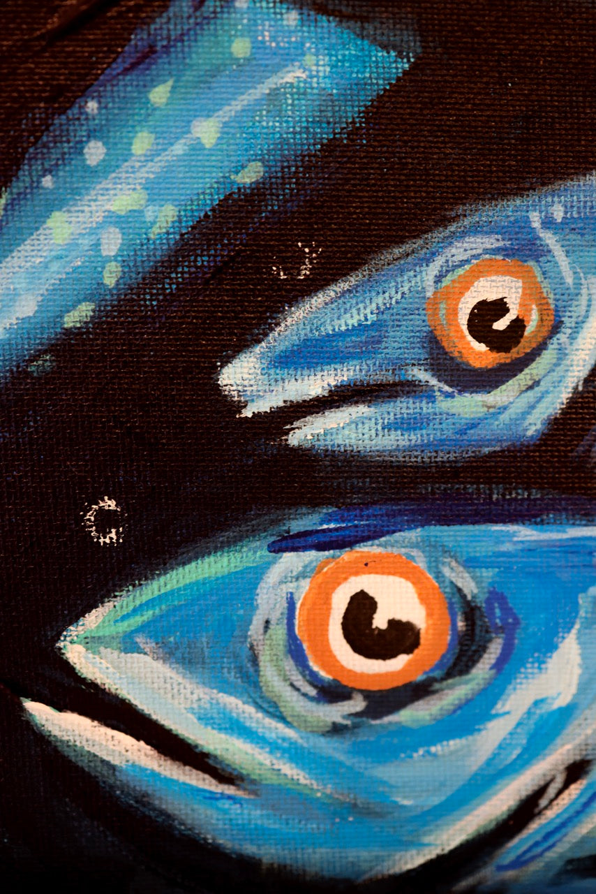 דג לילה | Night Fish