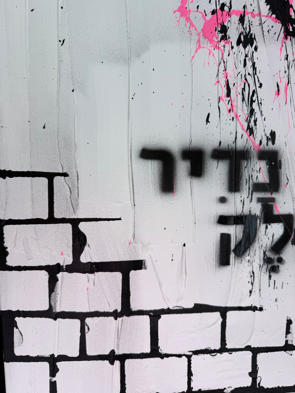 זן נדיר | Alon Aboutboul