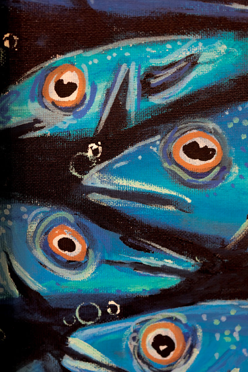 דג לילה | Night Fish